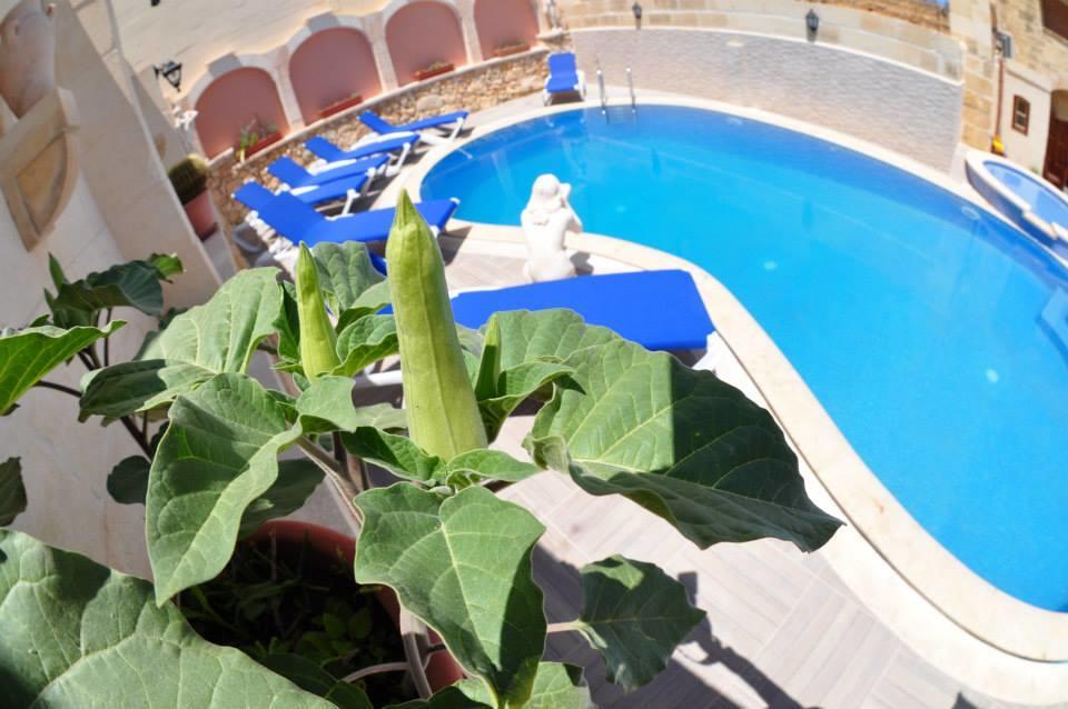 Mikiel U Rosa Holiday Farmhouse With Large Private Pool Zebbug  Экстерьер фото